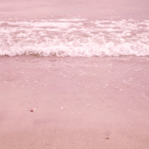 水筒に水を注ぐ By Riho Ichikawa