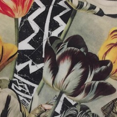 Prt 1 Homebody, Prt 2 Shimmering In The Sky