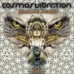 Cosmos Vibration - Hidden Reality (Sample)