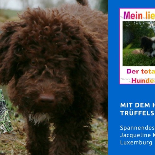 Mein lieber Hund - Epi 39 - Trüffelsuche mit Hund - Interview mit Jacqueline Koerfer