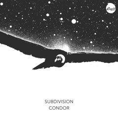 PREMIERE: Subdivision - Into The Light (Liquid Tones)