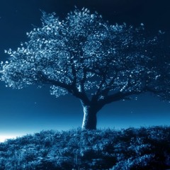 [T-Low Beats] - The Knowledge (Instrumental Hiphop Beat)