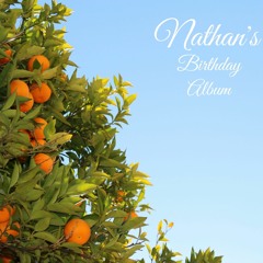 Nathan's Birthday Album