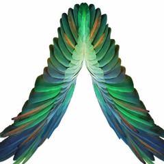 Axwell^Ingrosso - Bliss (BEST QUALITY)