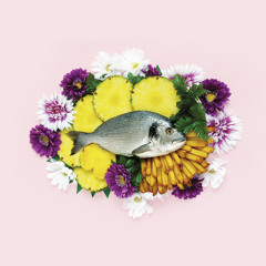 A1 - Cheaper Shepherd - Fish & Sheep (Orignal Mix)