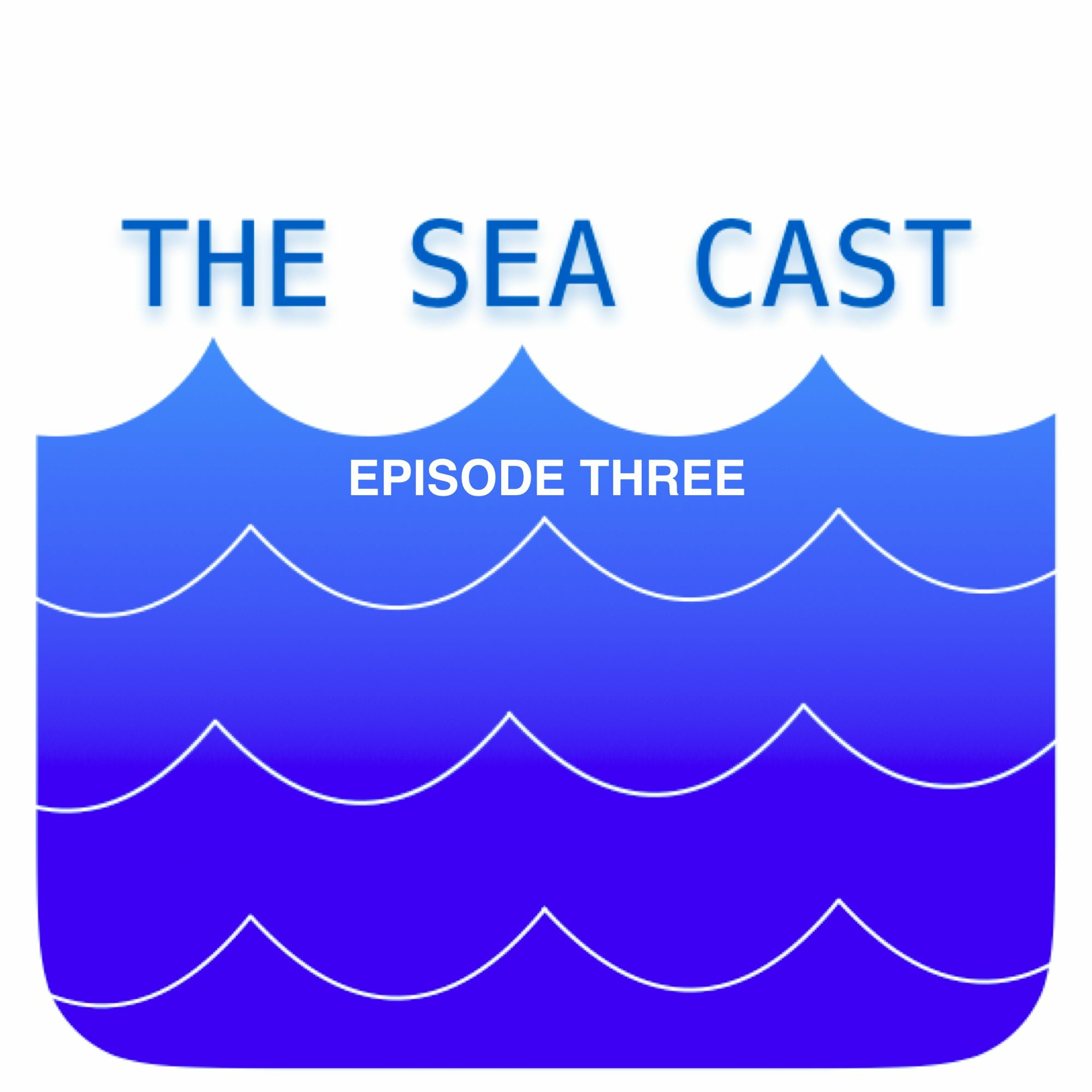 The Sea Cast Episode Three episode artwork