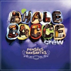 Bhale Bacce Crew - Vibrer, Chanter, Danser