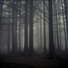 Yelnoel.