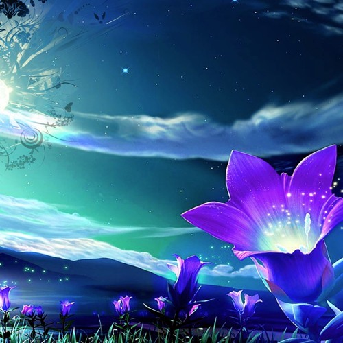 ENIGMA NEW SONG 2016 (after Daylighte)