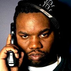 Raekwon - House of Flying Daggers • Remix (prod. by sicktunes)