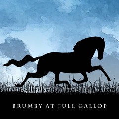 P C III - Brumby At Full Gallop (Instrumental)