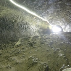 honestly (weekly project #1)