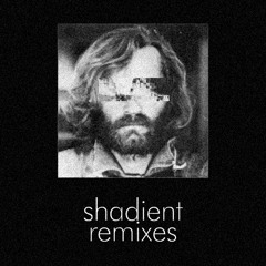FKA Twigs - In Time (Shadient Remix)