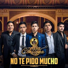 alta consigna crecer mix 2016