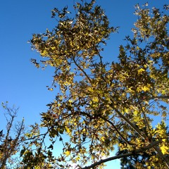 a glorious blue between storms