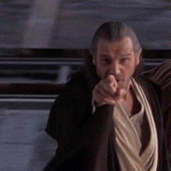 Qui Gon Jinn et les petits animaux de la forêt