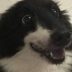 TODAY IS GONNA BE THE DAY THAT THYERE GONNA THRO IT BACK TOTOY at I DONG BLEJEVE GHAT ANYBODY FEELS GHE YWAY O DO ABOUT U Now