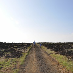 Prelude C# min  (2014 K Exp 14 Sc ALT 70)