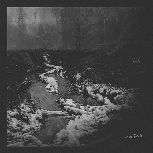 [AF005Y] V/A 'VOICELESS Y' (w/ DAED, ROLANDO SIMMONS, TECHDIFF, CIGNOL, GARETH CLARKE) [2017]