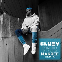 Premiere: Bluey – U Sure Do feat. Soulest (Makree Remix)