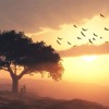 Sleep Music || Relaxing Music for A Good Sleep || Deep Relaxing Sleep Music ♫
