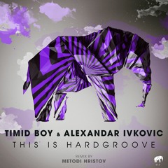 Timid Boy - This is Hardgroove (Metodi Hristov Remix)