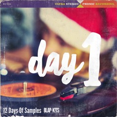 12 Days Of Sample Loops For Music Producers