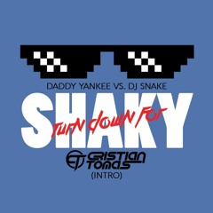 Daddy Yankee vs DJ Snake - Turn Down For Shaky (Cristian Tomas Intro)