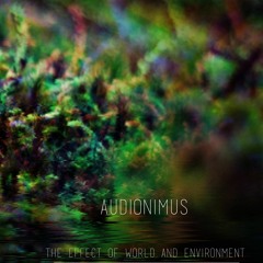audionimus -  the effect of world and environment 220 Album out now!