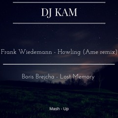 Frank Wiedemann - Howling (Ame remix) VS Boris Brejcha - Lost Memory (DJ KAM Mash-Up)