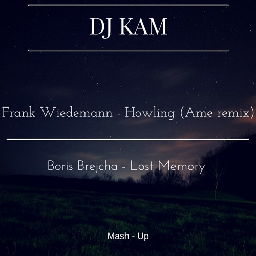 Frank Wiedemann - Howling (Ame remix) VS Boris Brejcha - Lost Memory (DJ KAM Mash-Up)