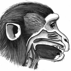 Joyeux Noël de la bouche d'un singe
