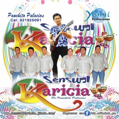 Sensual Karicia - VIVO PENSANDO EN ELLA (Primicia 2017)™ AUDIO OFICIAL✓