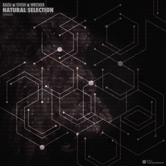 [KTRFREE01] Kaiza x St4sh x Wresker - Natural Selection (Original Mix) *FREE DOWNLOAD*