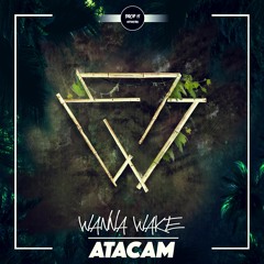 Wanna Wake - Atacam [DROP IT NETWORK EXCLUSIVE]