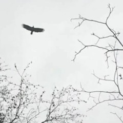 Don't Give Up! (motivational speech)