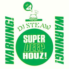 DJ Steaw - Frogman - Hot Haus Recs