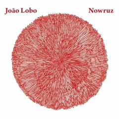 João Lobo - Usinam II