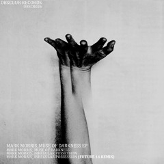 Mark Morris - Irregular Possession (Future 16 Remix)