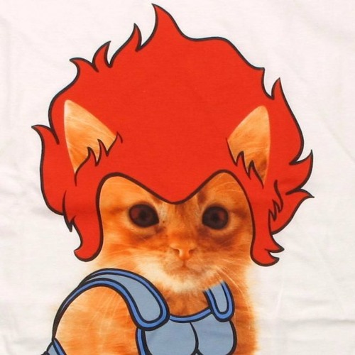 thundercats theme song thundercats theme song