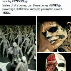 VALLEY OF DRY BONES