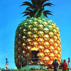 Pineapple House Party