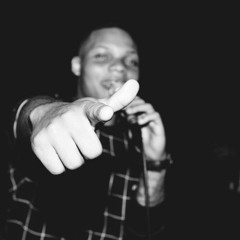 Bvl fest