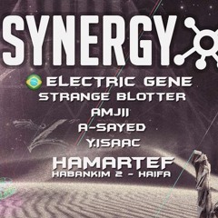 Amjii - Dj Set @ Synergy 9.12.2016