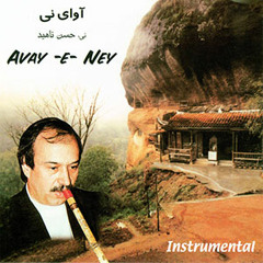 نی ، حسن ناهید