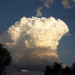 FDA FRANK - tuition.