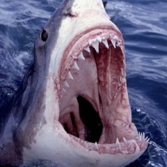 Bentley Coupe top missin' like David Copperfield