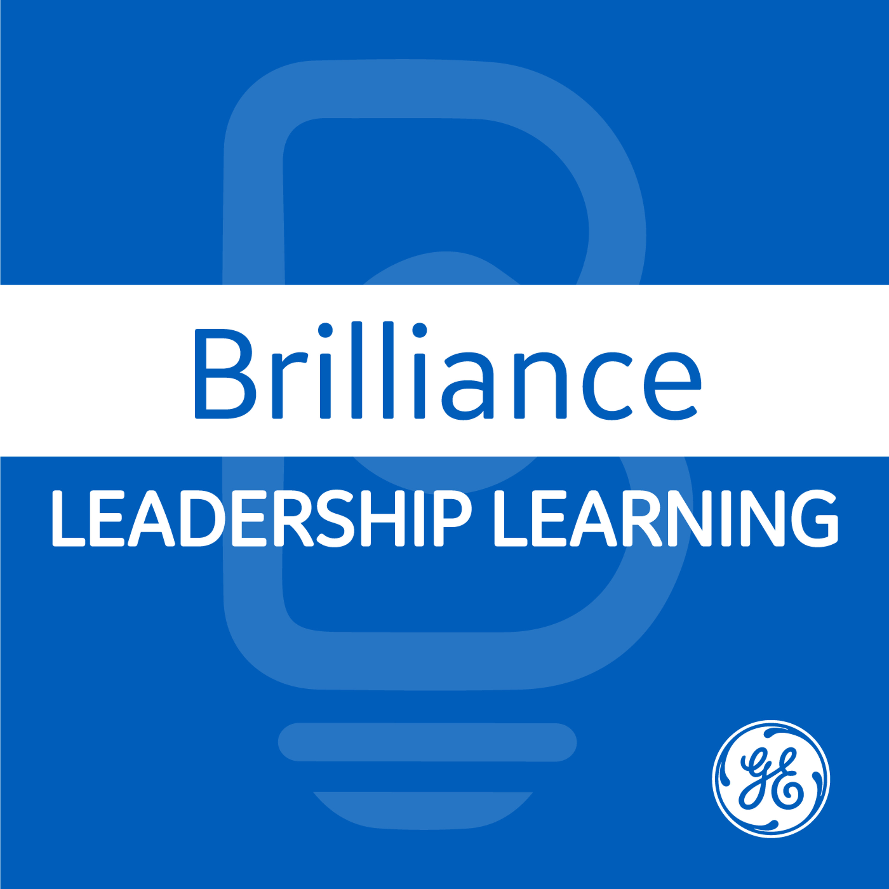 Brilliance: Leadership Learning