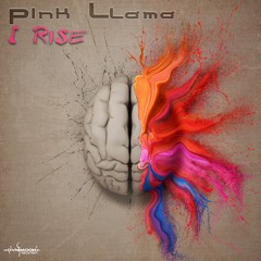 02 - Pink Llama - I Rise