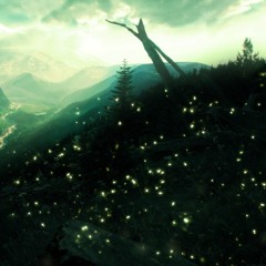 Fireflies - Owl City (TJ Remix)